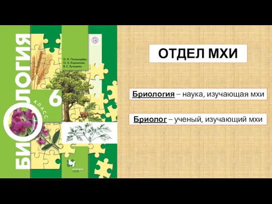 ОТДЕЛ МХИ Бриология – наука, изучающая мхи Бриолог – ученый, изучающий мхи