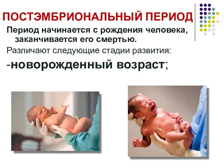 Период начинается с рождения человека, заканчивается его смертью. Различают следующие стадии развития: -новорожденный возраст; ПОСТЭМБРИОНАЛЬНЫЙ ПЕРИОД