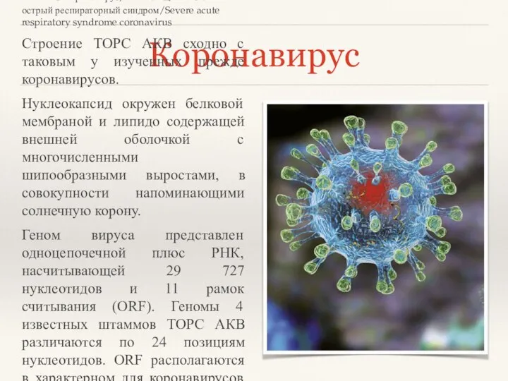 Коронавирус ТОРС-коронавирус, вызывающий тяжелый острый респираторный синдром/Severe acute respiratory syndrome coronavirus