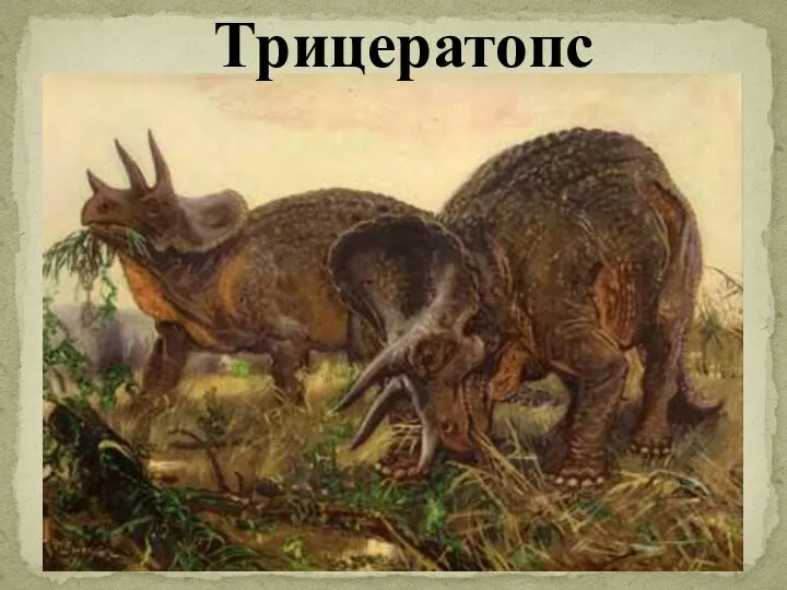 Трицератопс