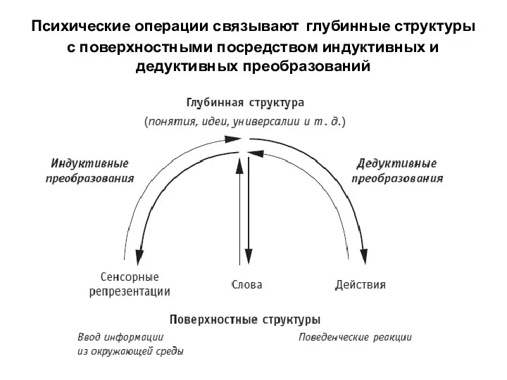 Психические операции связывают глубинные структуры с поверхностными посредством индуктивных и дедуктивных преобразований