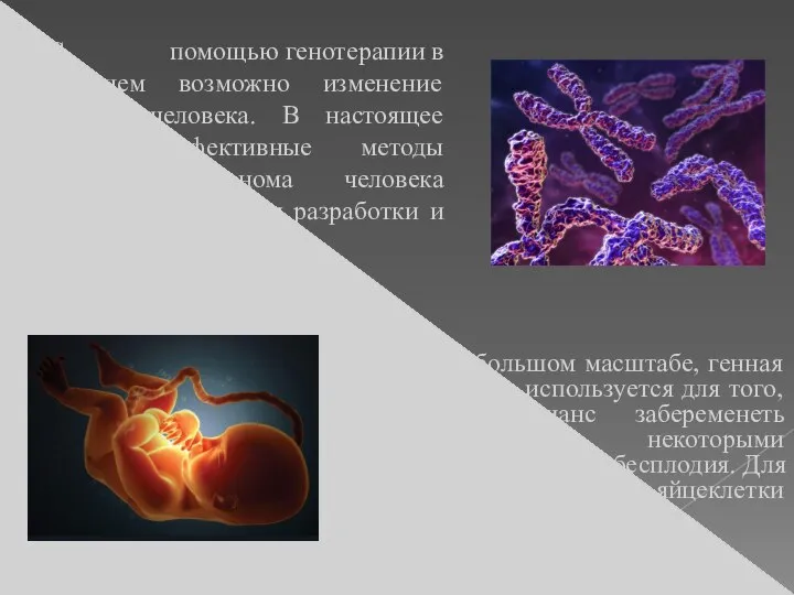С помощью генотерапии в будущем возможно изменение генома человека. В настоящее