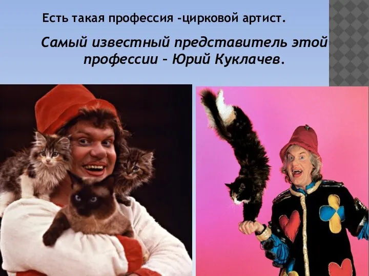 Есть такая профессия -цирковой артист. Самый известный представитель этой профессии – Юрий Куклачев.