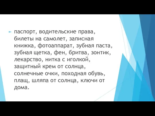 паспорт, водительские права, билеты на самолет, записная книжка, фотоаппарат, зубная паста,