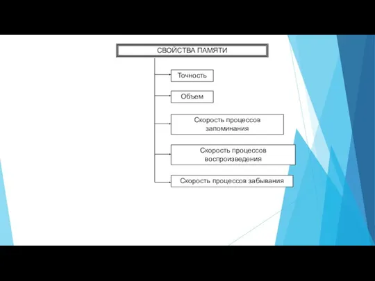 СВОЙСТВА ПАМЯТИ Точность Объем Скорость процессов запоминания Скорость процессов воспроизведения Скорость процессов забывания