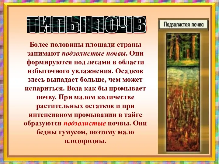 Более половины площади страны занимают подзолистые почвы. Они формируются под лесами