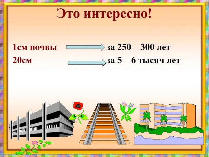 Это интересно! 1см почвы за 250 – 300 лет 20см за 5 – 6 тысяч лет