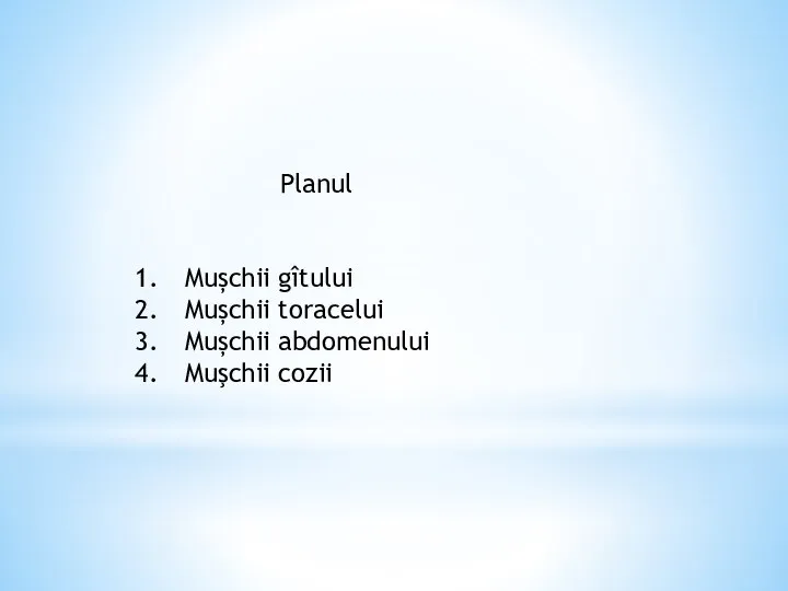 Planul Mușchii gîtului Mușchii toracelui Mușchii abdomenului Muşchii cozii