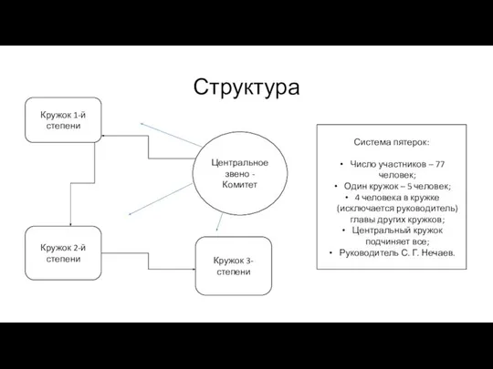 Структура Центральное звено - Комитет Кружок 1-й степени Кружок 2-й степени