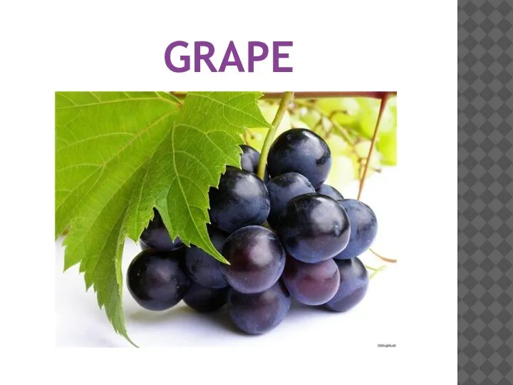 GRAPE