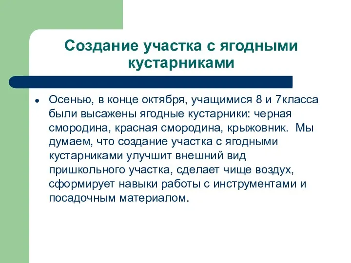 Создание участка с ягодными кустарниками Осенью, в конце октября, учащимися 8