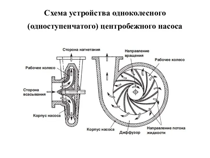 Схема устройства одноколесного (одноступенчатого) центробежного насоса