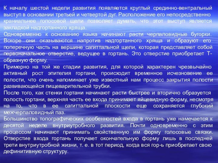 К началу шестой недели развития появляется круглый срединно-вентральный выступ в основании