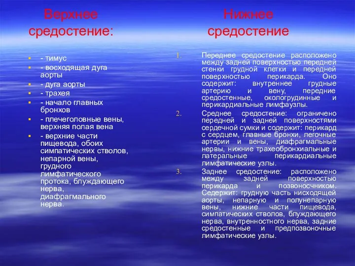 Верхнее средостение: - тимус - восходящая дуга аорты - дуга аорты