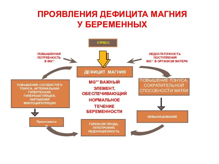 ДЕФИЦИТ МАГНИЯ НЕДОСТАТОЧНОСТЬ ПОСТУПЛЕНИЯ MG++ В ОРГАНИЗМ МАТЕРИ ПОВЫШЕННАЯ ПОТРЕБНОСТЬ В