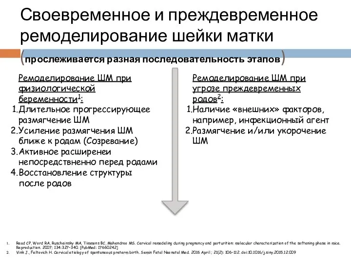 Своевременное и преждевременное ремоделирование шейки матки (прослеживается разная последовательность этапов) Ремоделирование