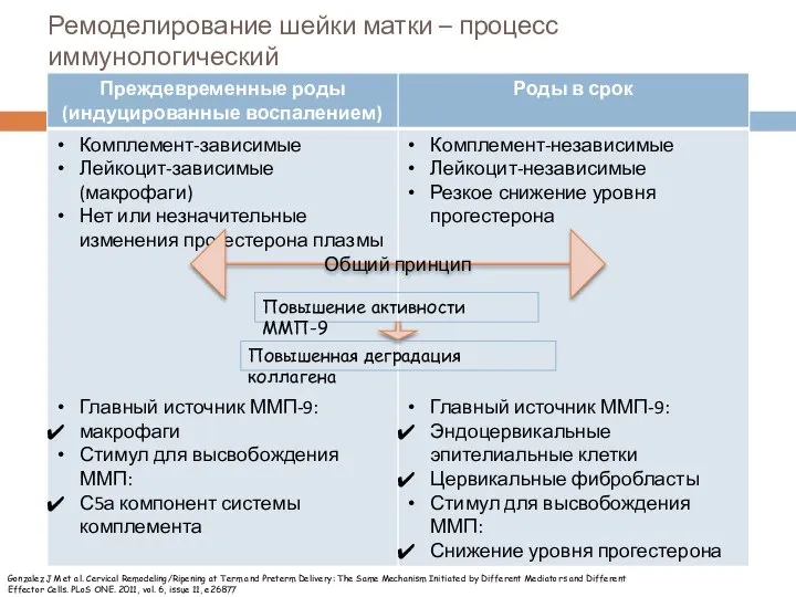 Ремоделирование шейки матки – процесс иммунологический Общий принцип Повышение активности ММП-9