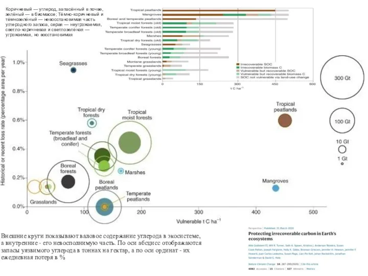 Внешние круги показывают валовое содержание углерода в экосистеме, а внутренние -