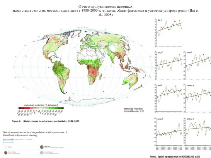 Отчего продуктивность наземных экосистем во многих местах падала даже в 1980-2000-х
