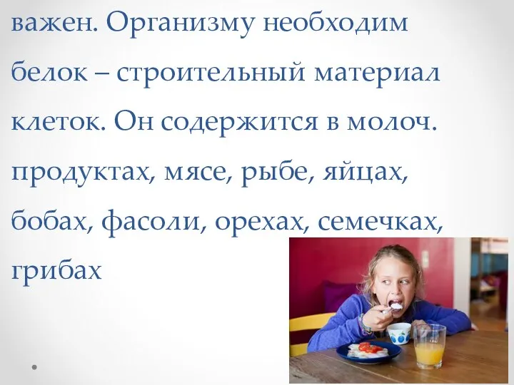 Завтрак для подростков особенно важен. Организму необходим белок – строительный материал