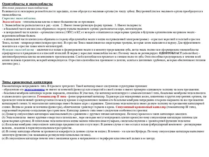 Одонтобласты и энамелобласты Источник развития энамелобластов: Развивается из эктодермы ротовой полости
