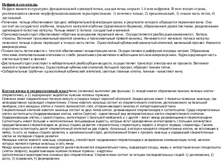 Нефрон и его отделы Нефрон является структурно-функциональной единицей почки, каждая почка