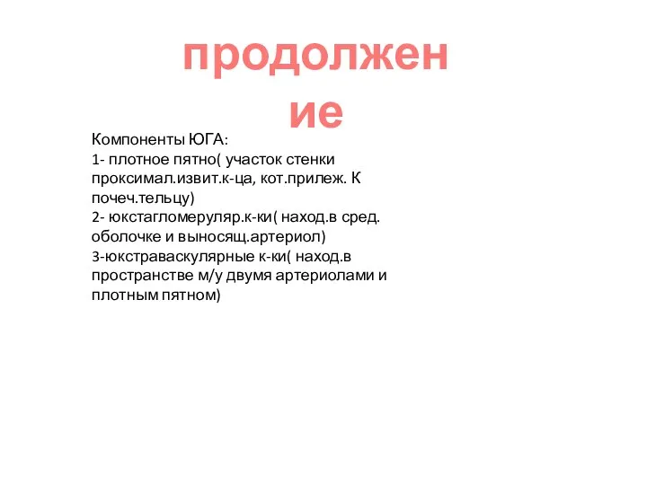 продолжение Компоненты ЮГА: 1- плотное пятно( участок стенки проксимал.извит.к-ца, кот.прилеж. К