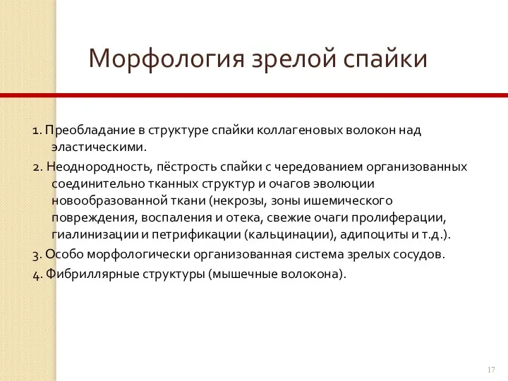 Морфология зрелой спайки 1. Преобладание в структуре спайки коллагеновых волокон над