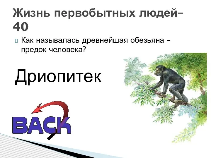 Как называлась древнейшая обезьяна – предок человека? Жизнь первобытных людей– 40 Дриопитек