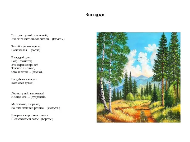 Загадки Этот лес густой, тенистый, Хвоей пахнет он смолистой. (Ельник.) Зимой