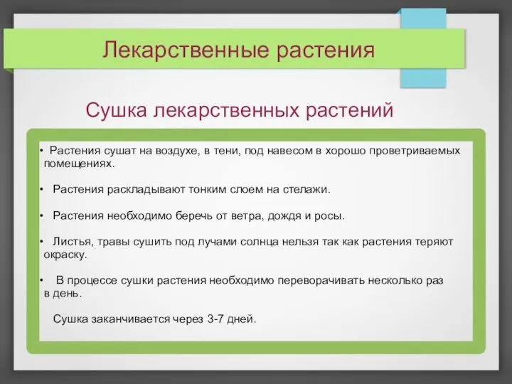 Лекарственные растения Сушка лекарственных растений Растения сушат на воздухе, в тени,