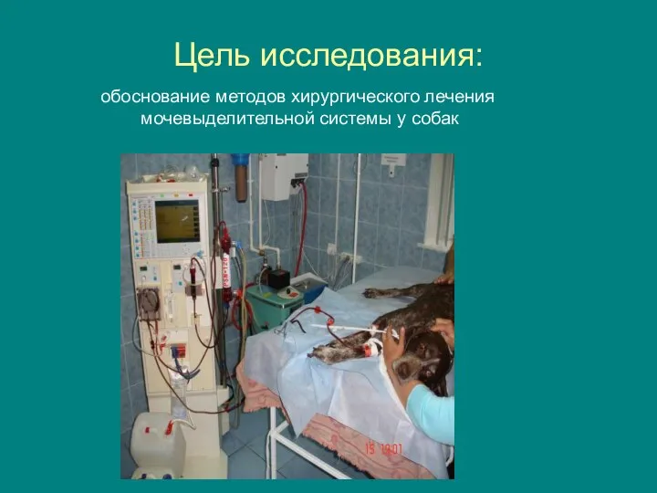 Цель исследования: обоснование методов хирургического лечения мочевыделительной системы у собак