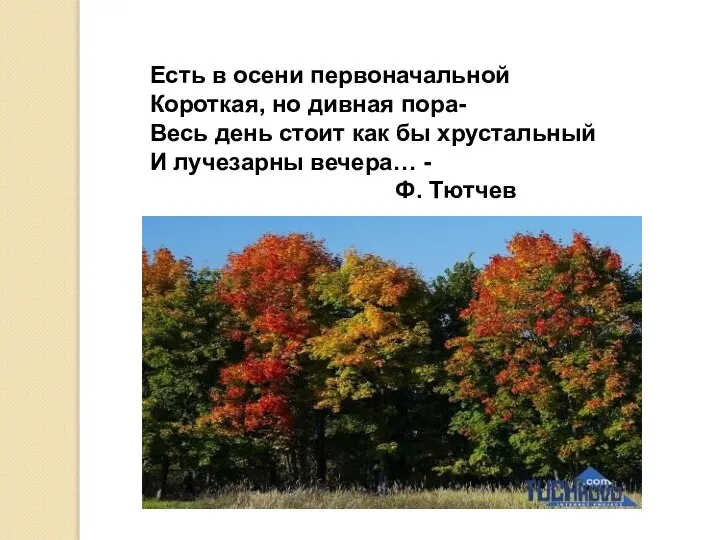 Есть в осени первоначальной Короткая, но дивная пора- Весь день стоит