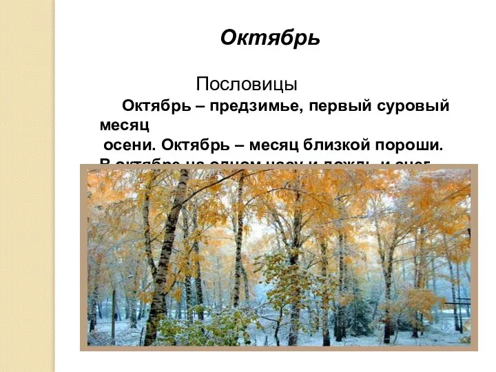 Октябрь Пословицы Октябрь – предзимье, первый суровый месяц осени. Октябрь –