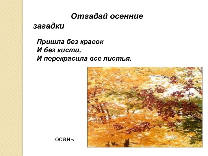 Отгадай осенние загадки Пришла без красок И без кисти, И перекрасила все листья. осень