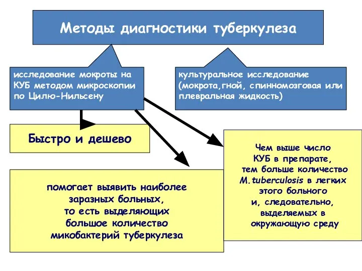 Методы диагностики туберкулеза исследование мокроты на КУБ методом микроскопии по Цилю-Нильсену