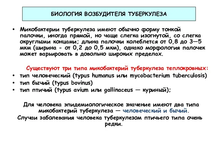 Микобактерии туберкулеза имеют обычно форму тонкой палочки, иногда прямой, но чаще