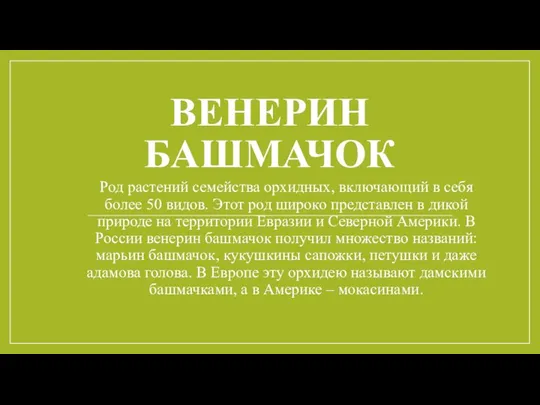 ВЕНЕРИН БАШМАЧОК Род растений семейства орхидных, включающий в себя более 50