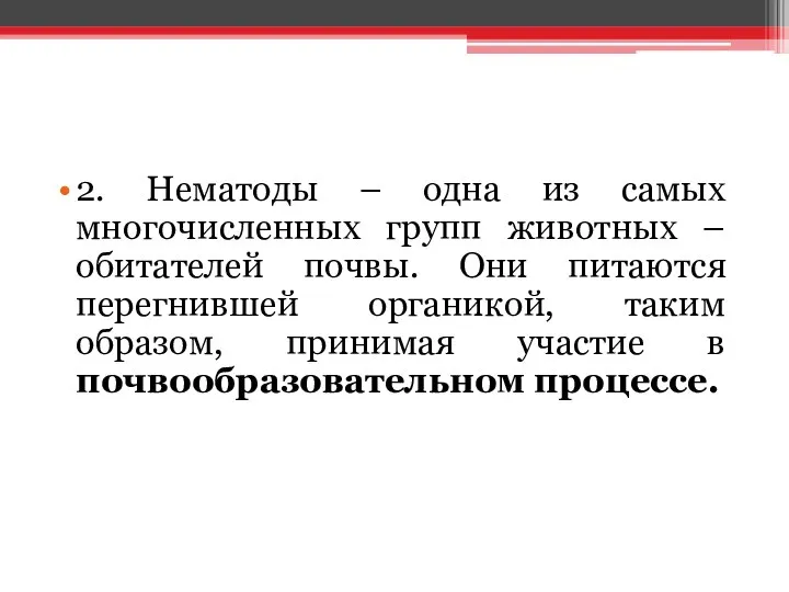 2. Нематоды – одна из самых многочисленных групп животных – обитателей