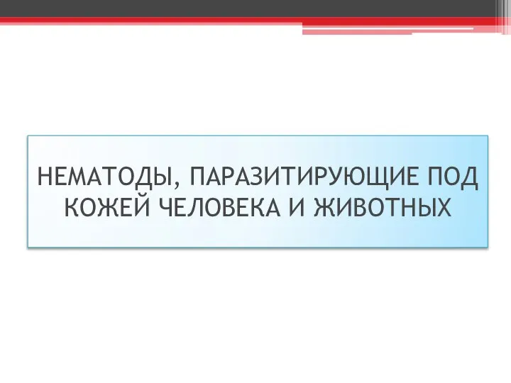 НЕМАТОДЫ, ПАРАЗИТИРУЮЩИЕ ПОД КОЖЕЙ ЧЕЛОВЕКА И ЖИВОТНЫХ