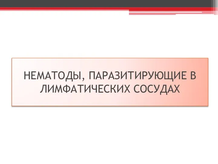 НЕМАТОДЫ, ПАРАЗИТИРУЮЩИЕ В ЛИМФАТИЧЕСКИХ СОСУДАХ