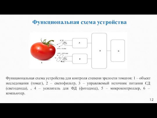 Функциональная схема устройства Функциональная схема устройства для контроля степени зрелости томатов: