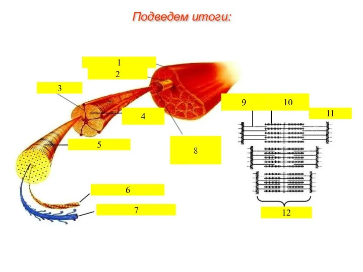 Подведем итоги: 1 2 3 4 5 6 7 8 9 10 11 12