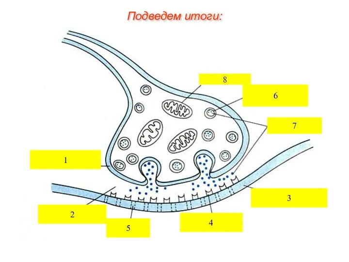 Подведем итоги: 1 2 3 4 5 6 7 8