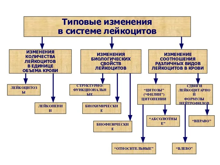 Типовые изменения в системе лейкоцитов ИЗМЕНЕНИЕ СООТНОШЕНИЯ РАЗЛИЧНЫХ ВИДОВ ЛЕЙКОЦИТОВ В