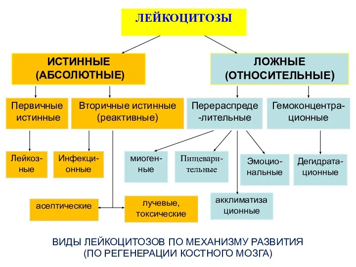 ВИДЫ ЛЕЙКОЦИТОЗОВ ПО МЕХАНИЗМУ РАЗВИТИЯ (ПО РЕГЕНЕРАЦИИ КОСТНОГО МОЗГА) ИСТИННЫЕ (АБСОЛЮТНЫЕ)