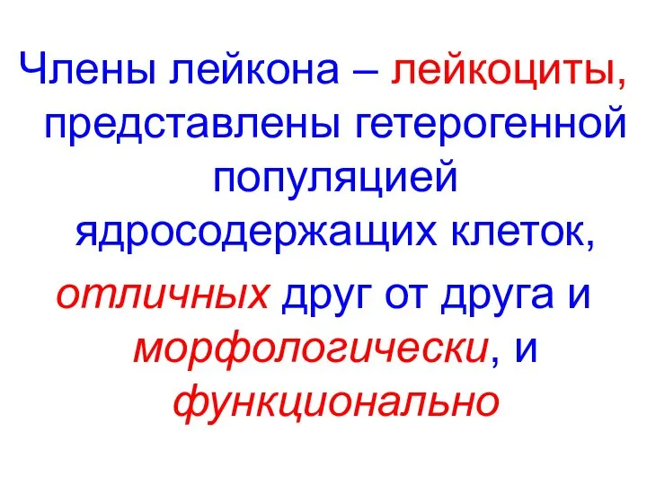 Члены лейкона – лейкоциты, представлены гетерогенной популяцией ядросодержащих клеток, отличных друг