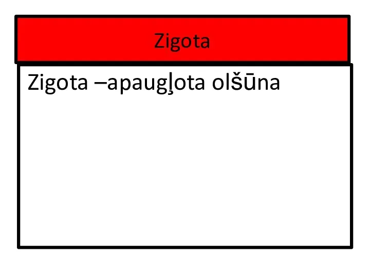 Zigota Zigota –apaugļota olšūna