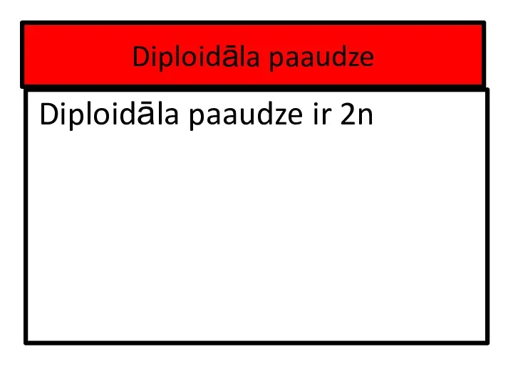 Diploidāla paaudze Diploidāla paaudze ir 2n