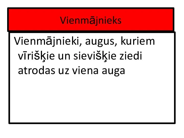 Vienmājnieks Vienmājnieki, augus, kuriem vīrišķie un sievišķie ziedi atrodas uz viena auga